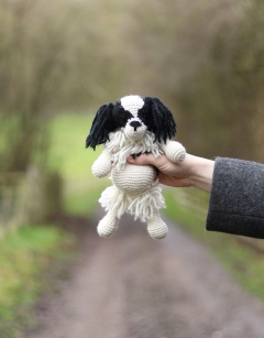 Patience the Japanese Chin