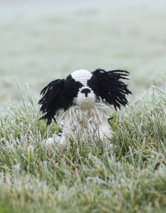 Patience the Japanese Chin