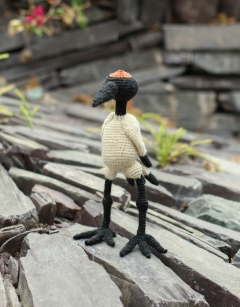 Aimi the Japanese Crane