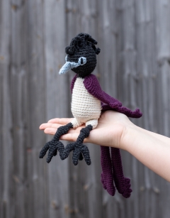 Yuto the Japanese Flycatcher