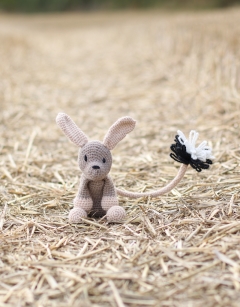 Grace the Jerboa