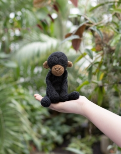 Joan the Bonobo 