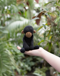 Joan the Bonobo 