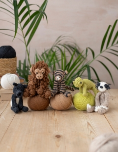 Jungle Discovery Box