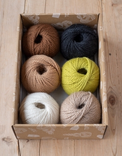 Jungle Discovery Box