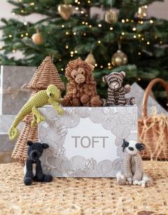 Jungle Discovery Box