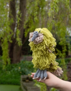 Koa the Kakapo