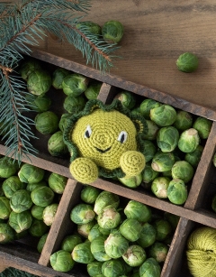 Brussels Sprout Kit