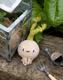 Baby Celeriac Kit
