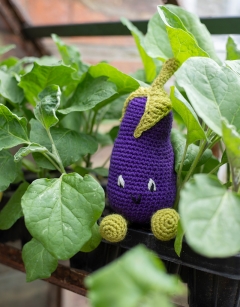 Baby Aubergine Kit