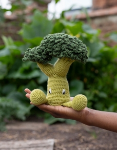 Broccoli Kit