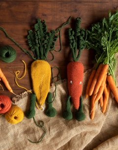 Carrot Kit