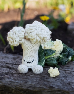 Cauliflower Floret Kit