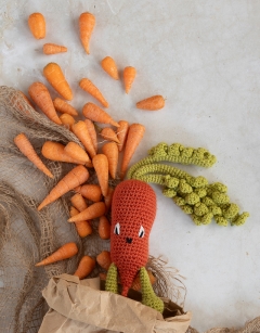 Chantenay Carrot Kit