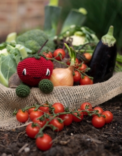 Cherry Tomatoes Kit