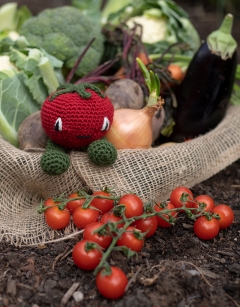 Cherry Tomatoes Kit