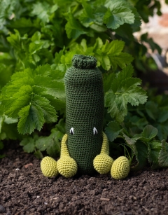 Courgette Kit