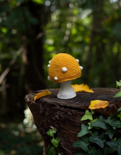 Button Toadstool