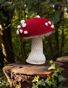 Giant Cap Toadstool