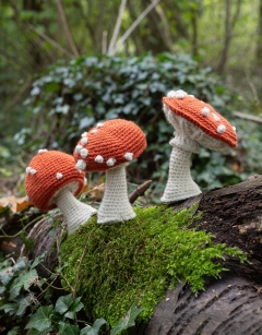 Sporing Toadstool