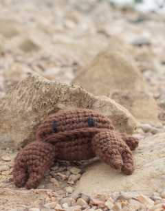 JUMBO Cedric the Crab