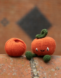 Munchkin Pumpkin Kit