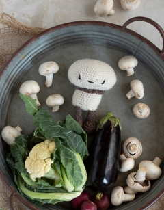 Button Mushroom Kit