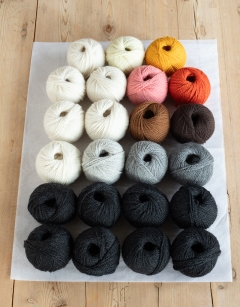 A Huddle of Penguins Bundle