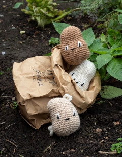 Seed Potato Kit