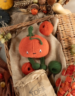 Pumpkin Kit