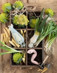 Spring Onion Kit