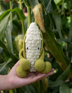 Corn on the Cob Kit