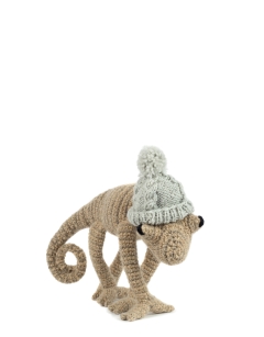 TOFT Homegrown: Pygmy Chameleon