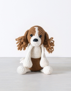 Philip the Cavalier King Charles Spaniel