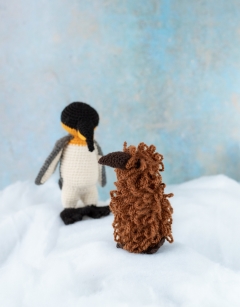 King Penguin Chick