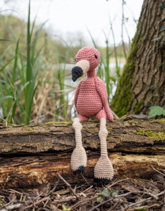 Cindy the American Flamingo Kit