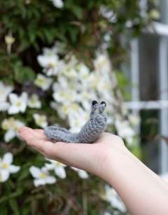 Rudyard the Slug Kit