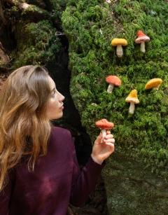 Toadstool Trio