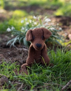 Eleanor the Labrador Kit