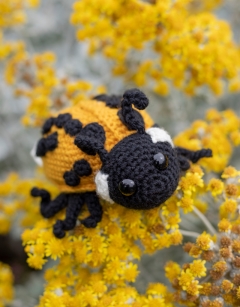 Ava the Ladybird: 22-spot