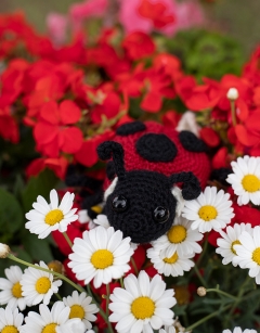 Ava the Ladybird: 7-spot