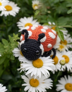 Ava the Ladybird: Orange Spotted
