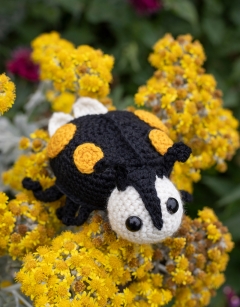 Ava the Ladybird: Yellow Harlequin