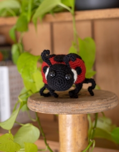 Ava the Ladybird: 7-spot