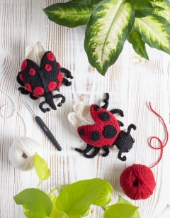 Ava the Ladybird: Black Harlequin
