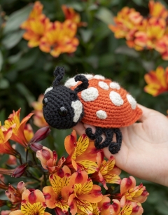 Ava the Ladybird: Orange Spotted
