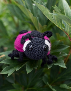 Ava the Ladybird: Pink Spotted