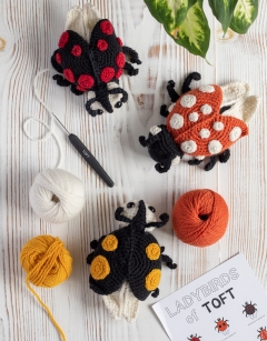 Ava the Ladybird: Yellow Harlequin