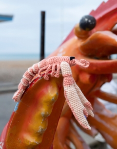 Liliane the Langoustine