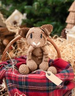 Large Lulu the Red Tabby Cat